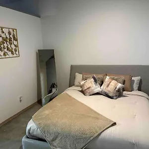  Apartment Luxury Cozy Loft Downtown Stl
